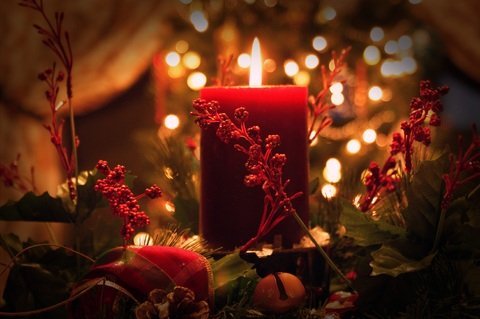tree-light-plant-night-flower-petal-666608-pxhere.com